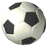 aniball.gif (14040 bytes)