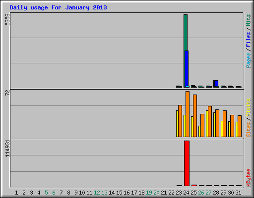 Daily usage for January 2013