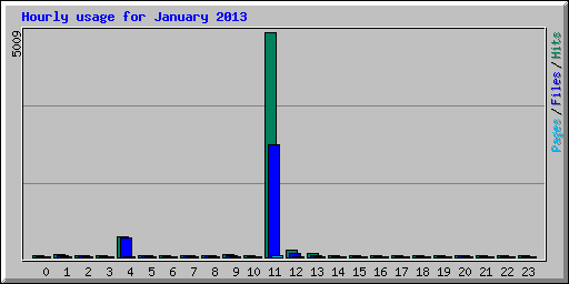 Hourly usage for January 2013